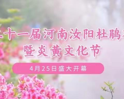 汝阳退伍军人福利来了