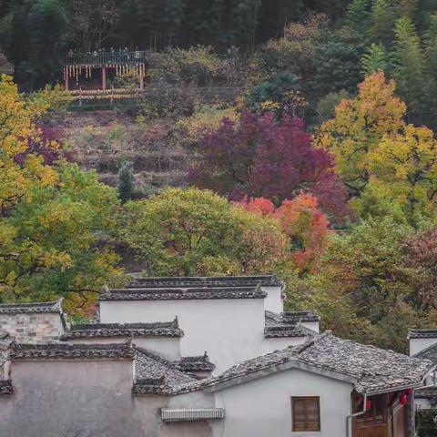 梦回徽州   秋色无边
