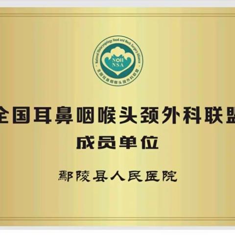 鄢陵县人民医院五官科开展“耳石症”科普培训