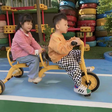 金岐幼儿园大一班第11周周记录篇