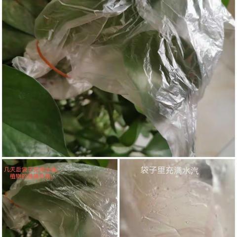 王子康的国庆节