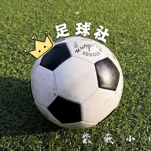 紫薇小学第一学期足球⚽️社团活动总结