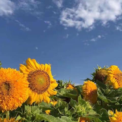 主题教育塑品行，向上向善汇力量