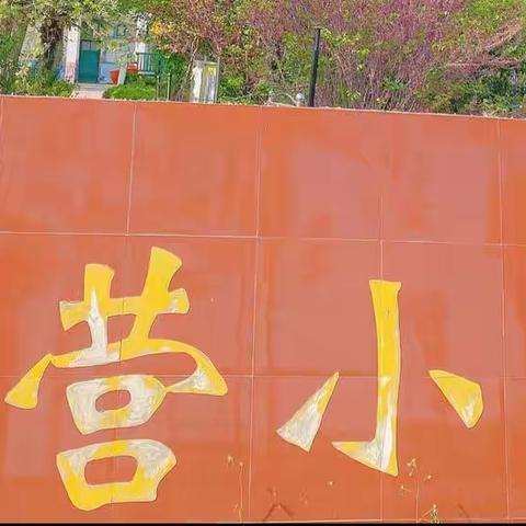 单县终兴镇杨营小学为迎接学生开学全体老师打扫校园卫生做好疫情演练迎接学生开学