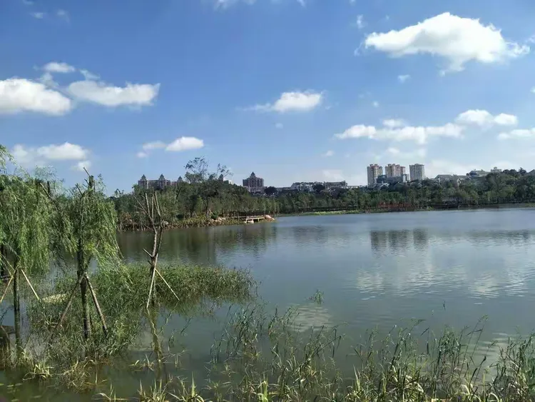 镇江市孟家湾湿地公园即景.一起来畅游吧!