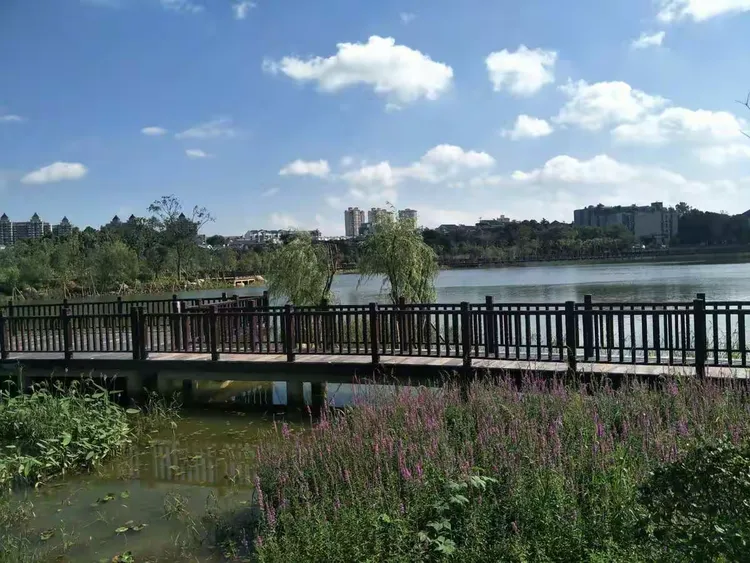 镇江市孟家湾湿地公园即景.一起来畅游吧!