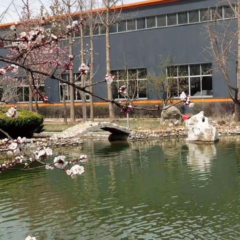 花团锦簇祺月院，春光明媚职工家