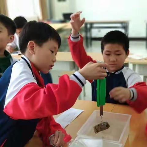 康予萍小学科学名师工作室——科学教师成长之路的启明星