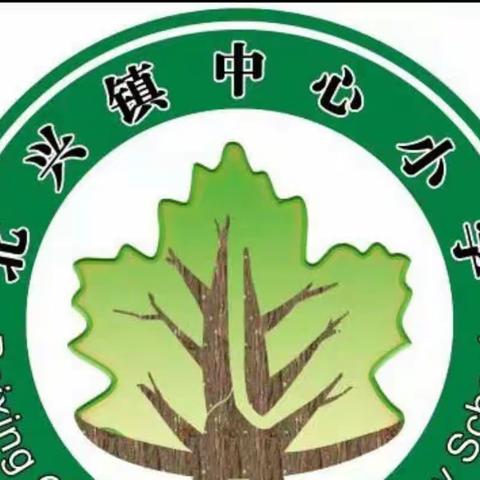 克山县北兴中心小学军体拳活动展示