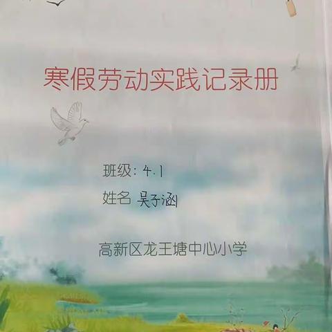 快乐寒假 精彩纷呈——龙王塘中心小学四年一班寒假作业展示