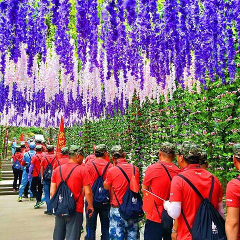 ～重走红军路·与祖国同行～永嘉县第十届重走红军路活动掠影（二）               ～～胜利之歌/摄制