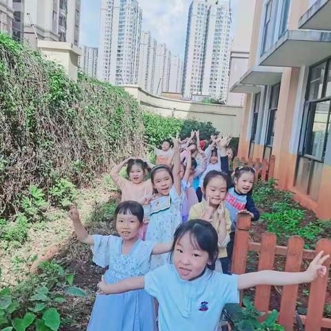 “参观小菜园，亲近大自然”