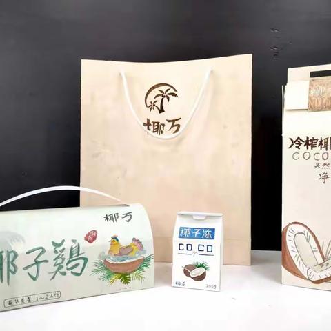 琼台师范学院美术教育专业教学课业展—2017(五)美术教育班《包装设计》