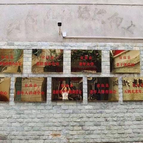 省委组织部副部长、省委老干部局局长袁丽娟到宜良县调研老龄事业管理办公室工作