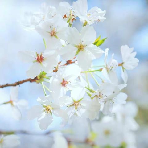 不一样的寒假，不一样的时光