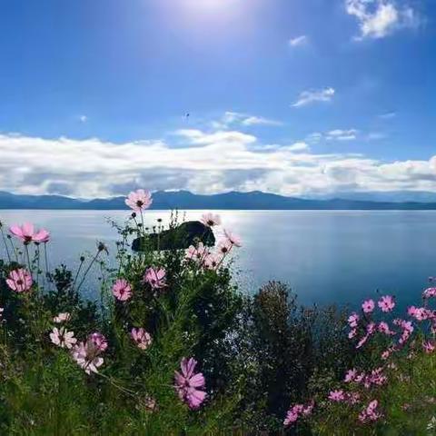 149班中队活动，我为洱海保护出点力—为节能减排做件事