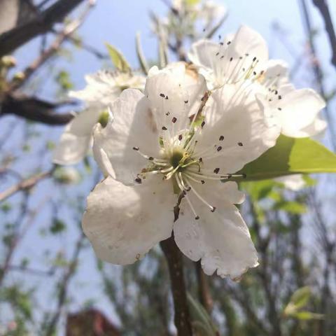 149班中队活动：“快乐的五一节！”