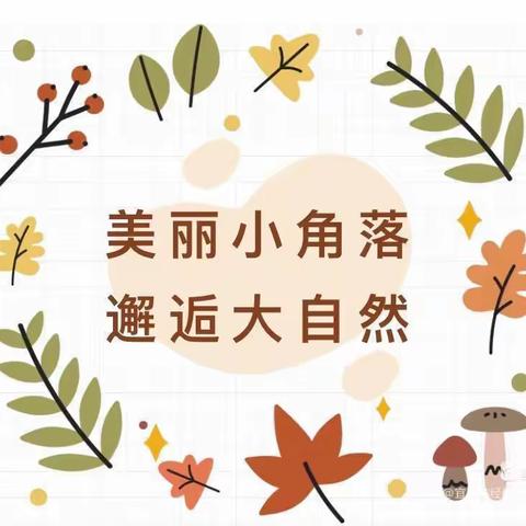 秋意浓，绿满园——欣贝学园自然角研讨活动