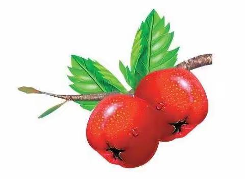 感恩日活动之秋游亲子摘山楂