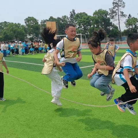 杨店学区（杨店镇中、浐川小学、陈集小学、凤集小学、高新小学、桃花驿小学、杨店镇小）2023年春季研学活动实践纪实