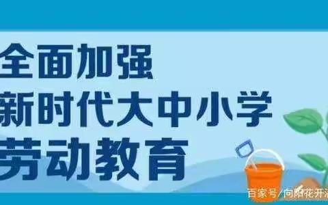 劳动教育促发展  实践育人绘征程