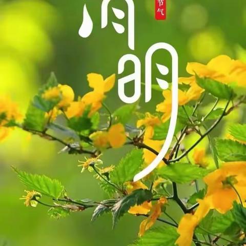 我们的节日 · 清明 | 清明节知多少