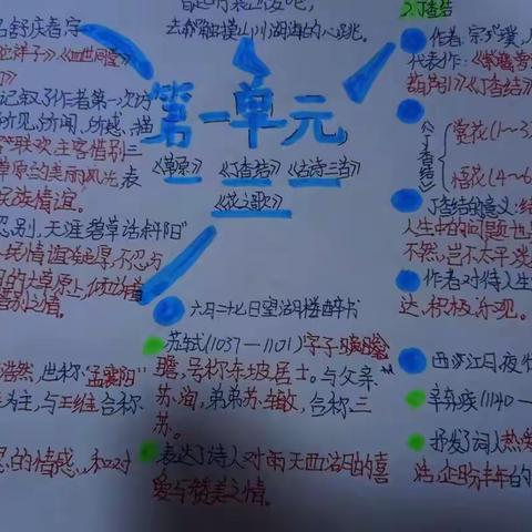 优化作业设计  实现减负提质