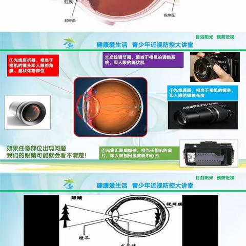 探索眼睛奥秘，掌握防控近视本领—爱心家长进课堂