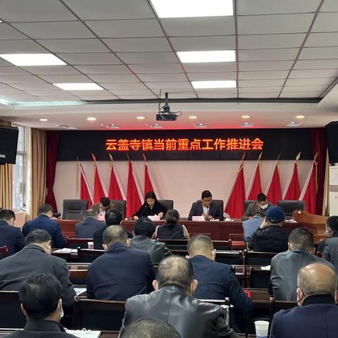 云盖寺镇召开当前重点工作推进会