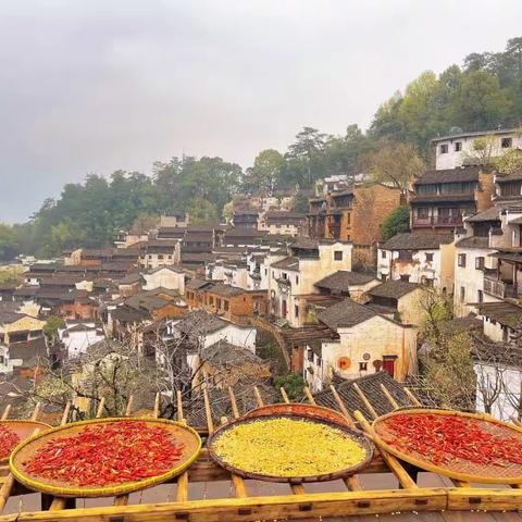 第110在普通的日子感受人情冷暖