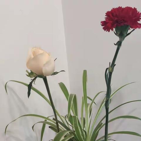 第105善良中带点锋芒