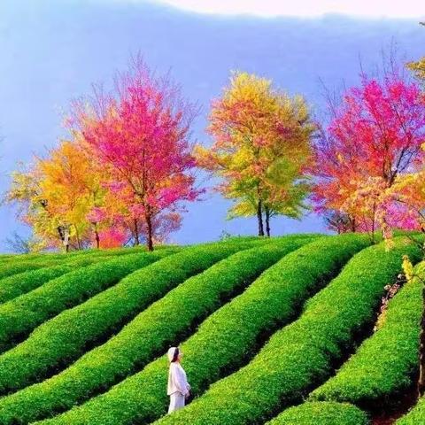 第99微信删了？