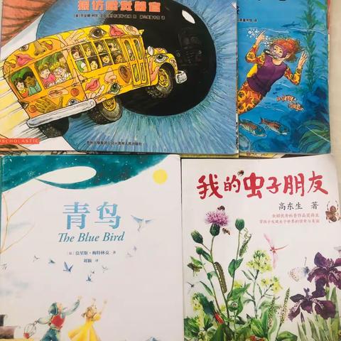 以梦为马，不负韶华