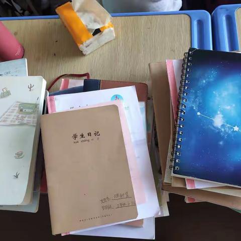 畅游“日记”王国——妮妮的三（6）班