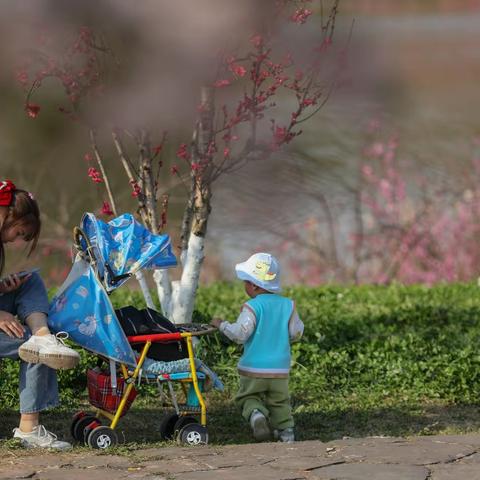 【一张图片一个故事】