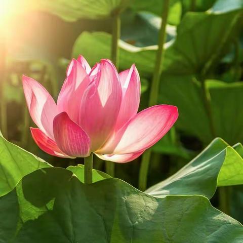 欢乐度暑假，安全不放假