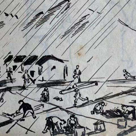 我的知青故事(13): 暴风雨中抢收稻谷