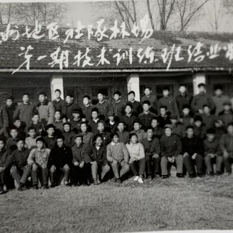 我的知青故事(9): 地区林业技术训练班