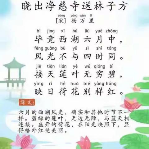 中二班第十六周精彩回顾