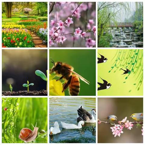 中二班第八周精彩瞬间