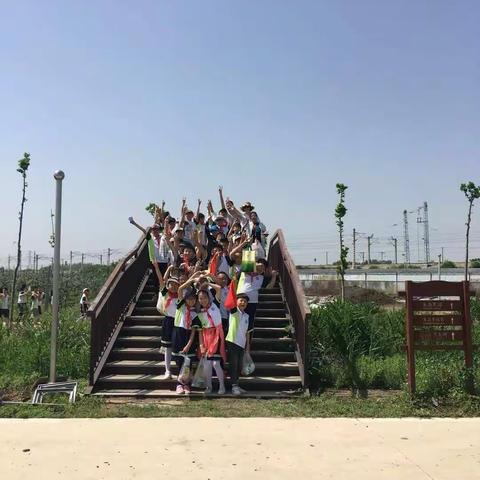英才小学社会实践活动之摘樱桃