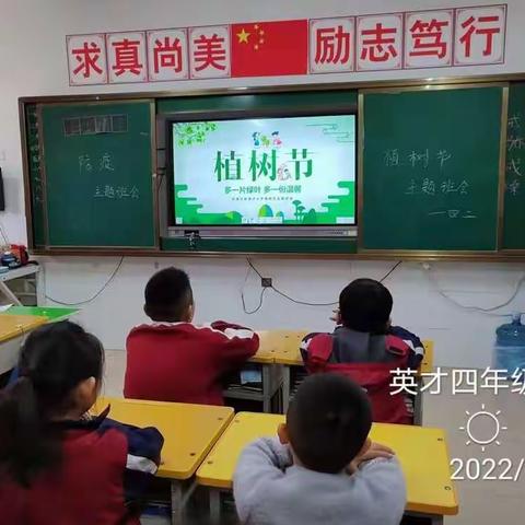 燕子的美篇