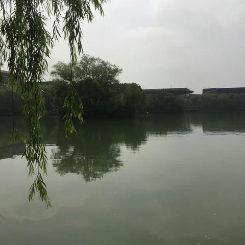 小转金桥湖