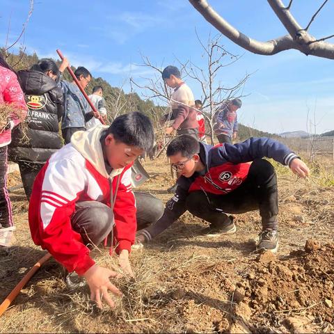 劳动最光荣，实践促成长——学生劳动实践教育课