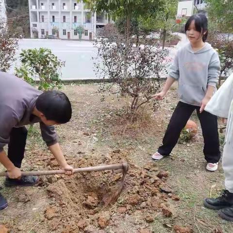 种树苗 爱自然 ——洞坪学校
