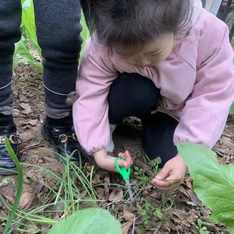 刘梦涵2021年秋季学期回顾