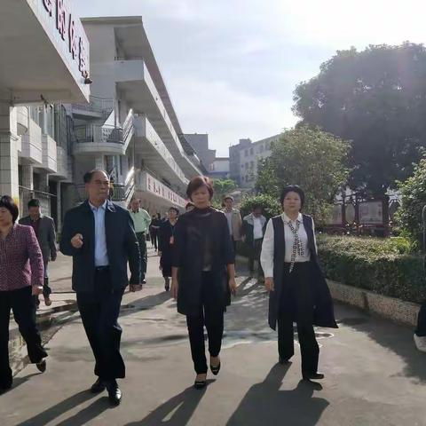 云浮市人大常委到苹塘镇中心小学开展调研工作