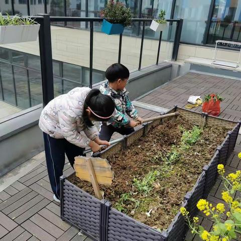 阳春三月，春风送暖，让我们一起来种菜吧！