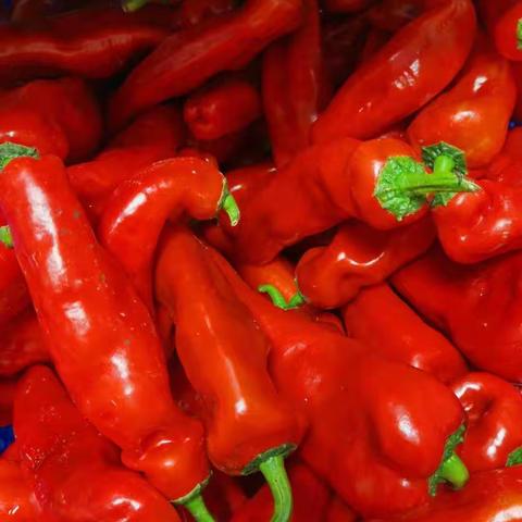 长沙市长郡开福中学食堂工作记录（二）