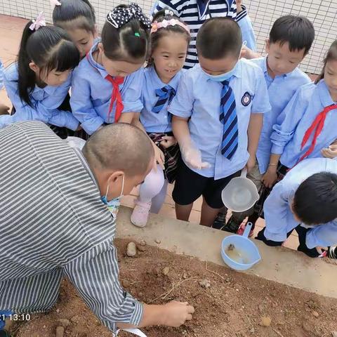【班队活动】菜园第一课，劳动正当时